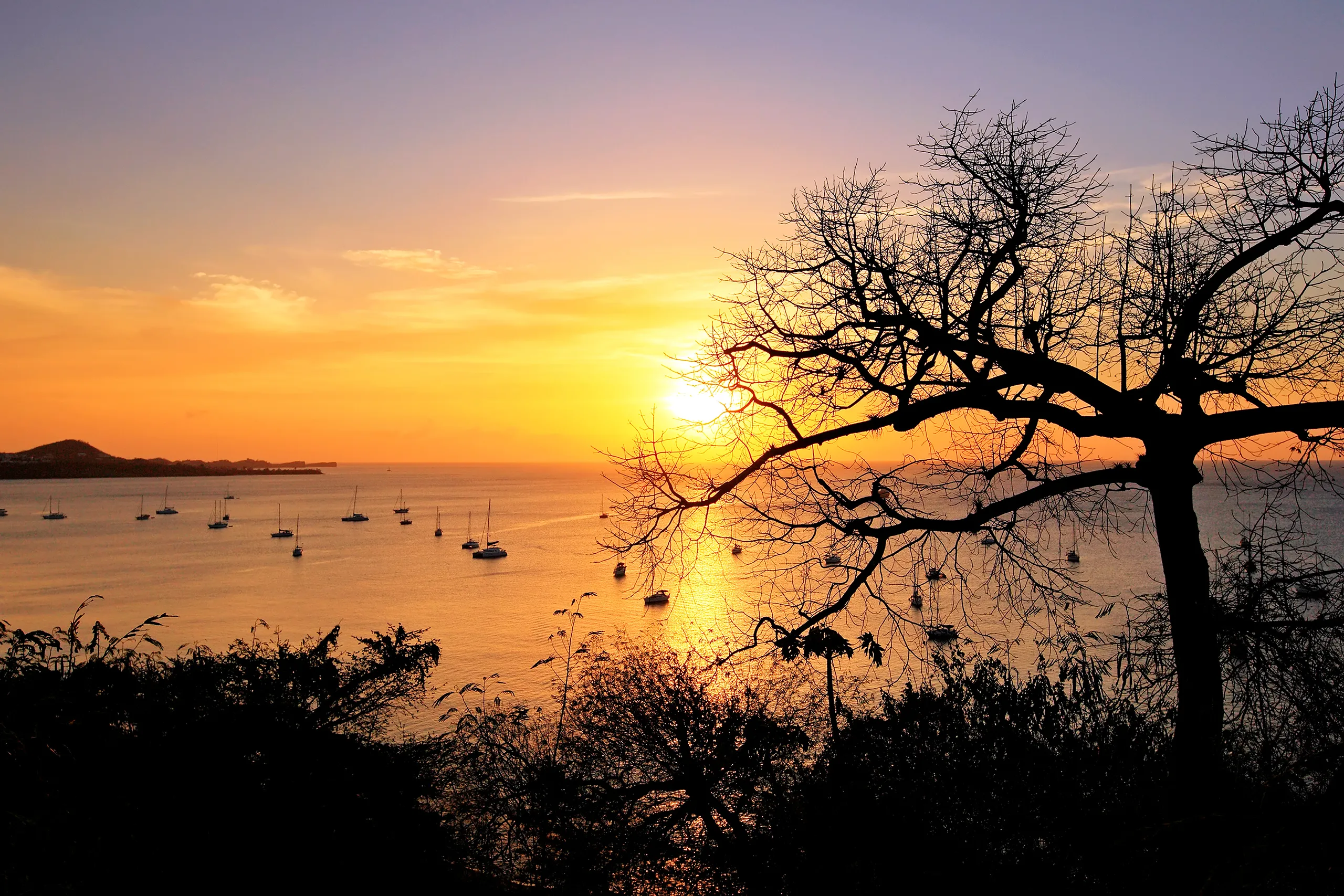 Islander Sunset