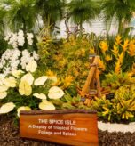 Grenada@Chelsea Flower Show 2026